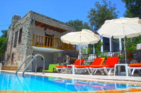 Outstanding Villa with Impressive View and Private Pool near Historical Area in Fethiye